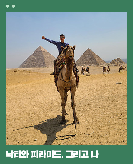 낙타와 피라미드, 그리고 나