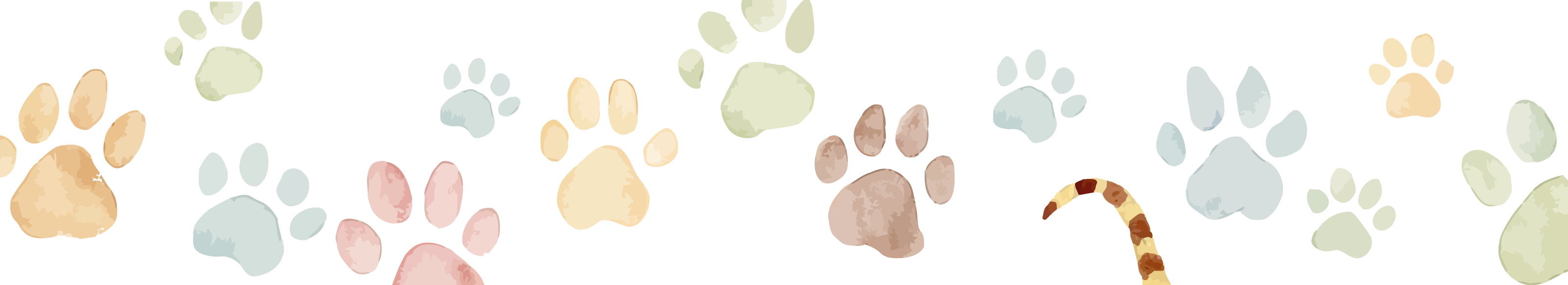 상단